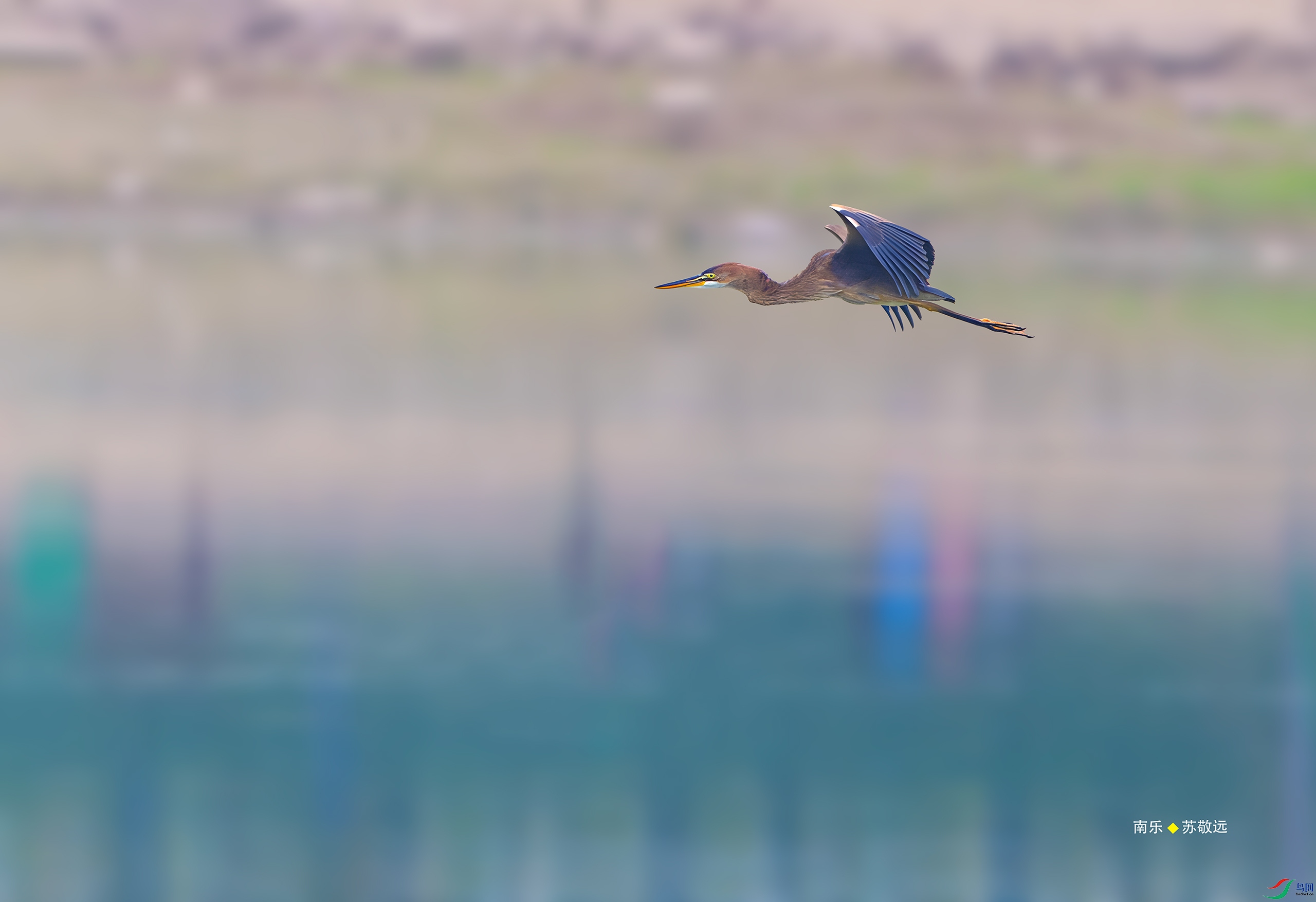 _DSC5940-DxO_С.jpg