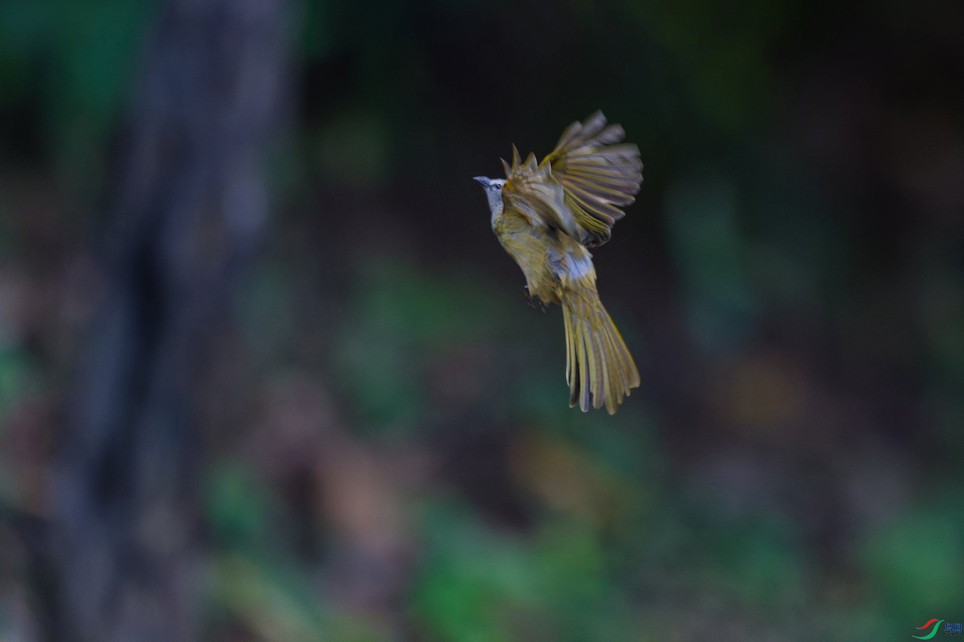 DSC_4126_DxO_DxOa.jpg