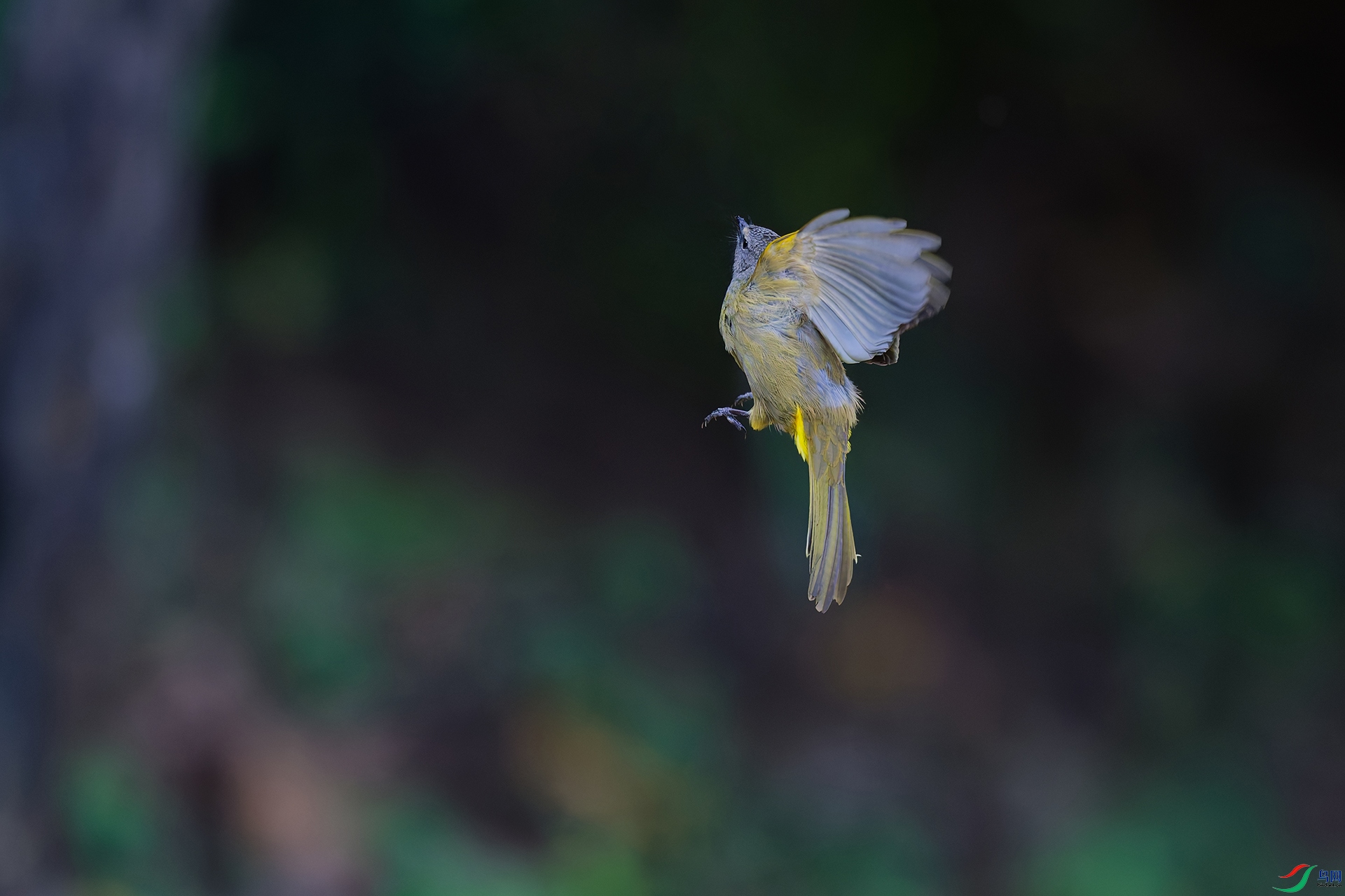 DSC_4117_DxO_DxOa.jpg