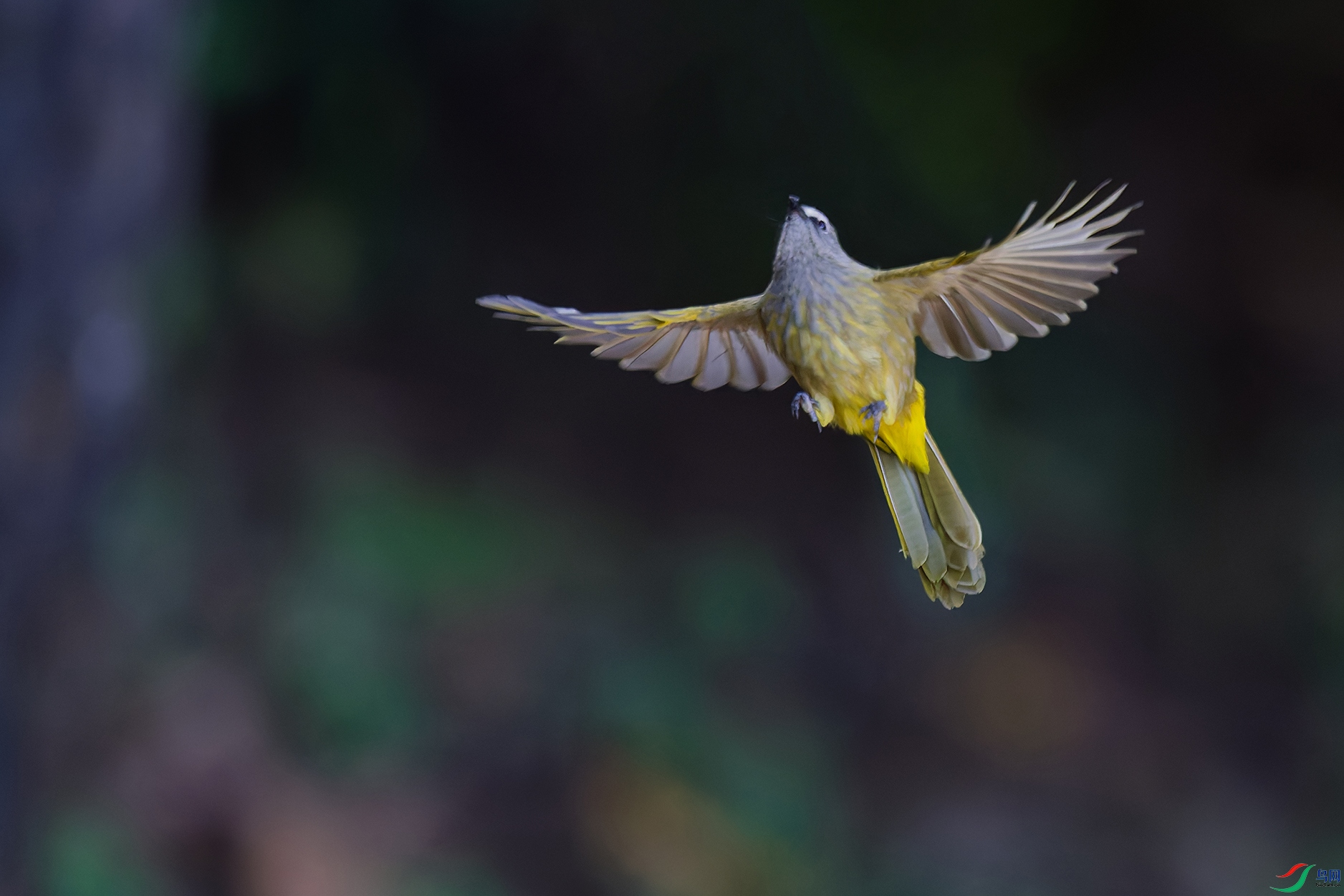 DSC_4105_DxO_DxOa.jpg