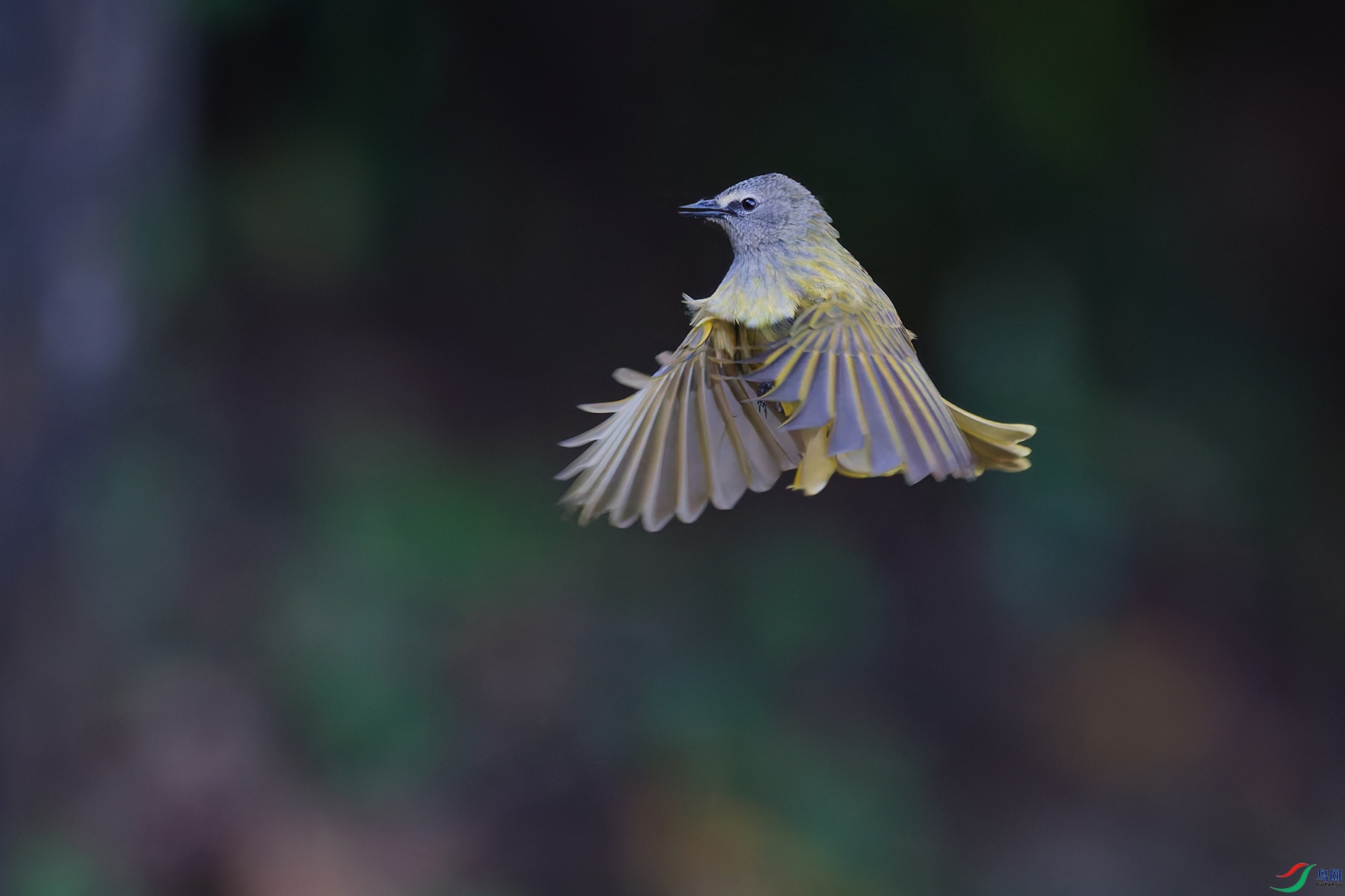 DSC_4100_DxO_DxOa.jpg