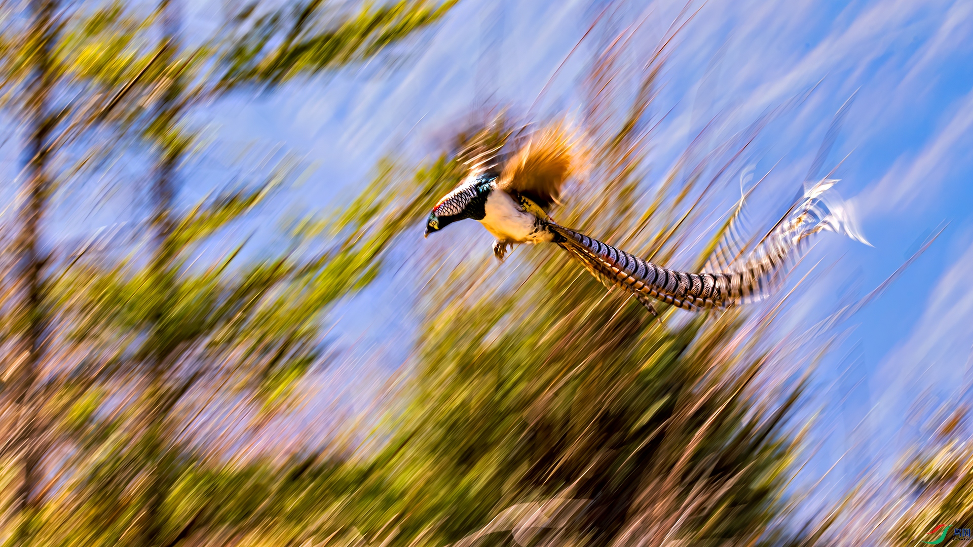 398A0302-����ǿ-NR ����.jpg