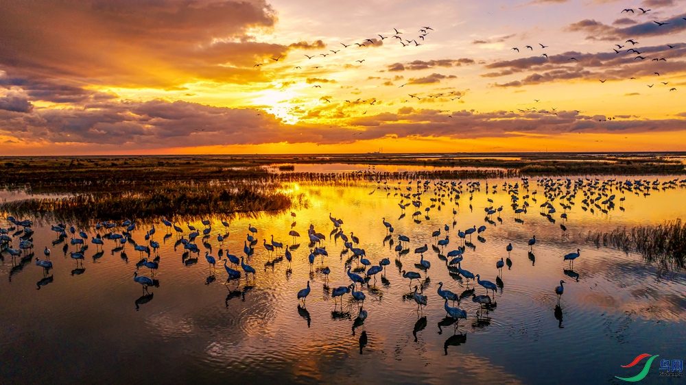 DJI_20241118071101_0157_D_����0._1_����.jpg