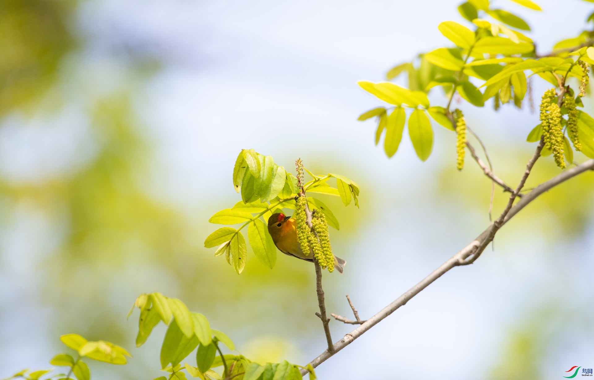 LNRM1184.jpg