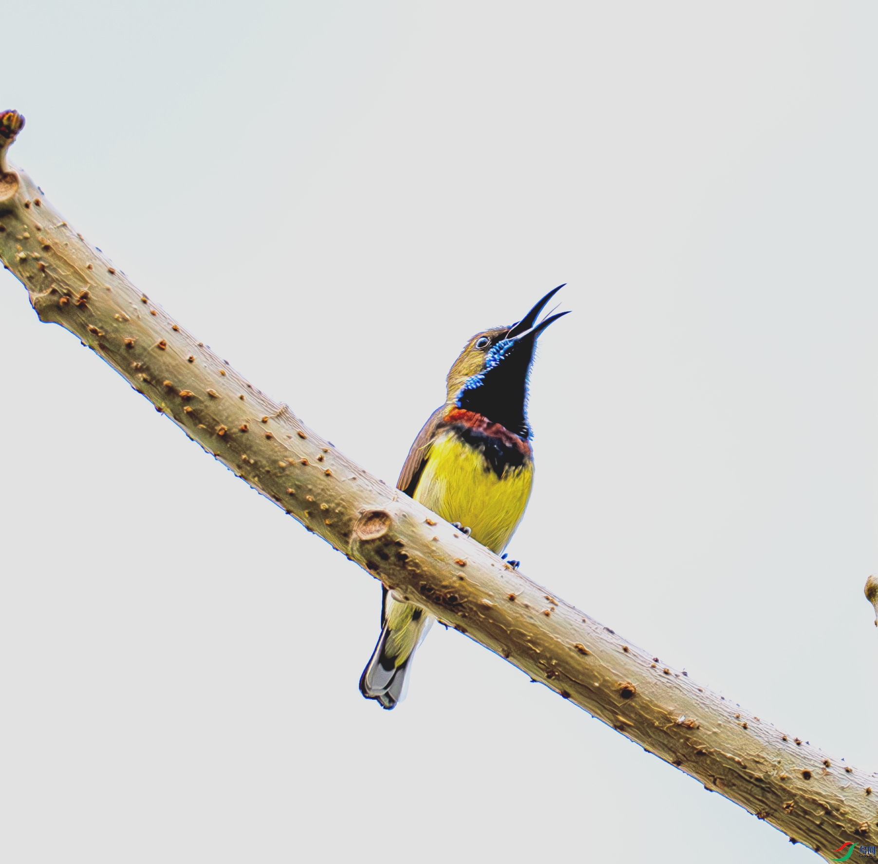 P3242833-����.jpg