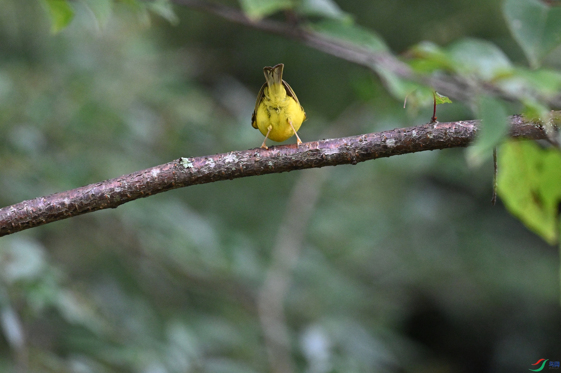 DSC_2779.JPG