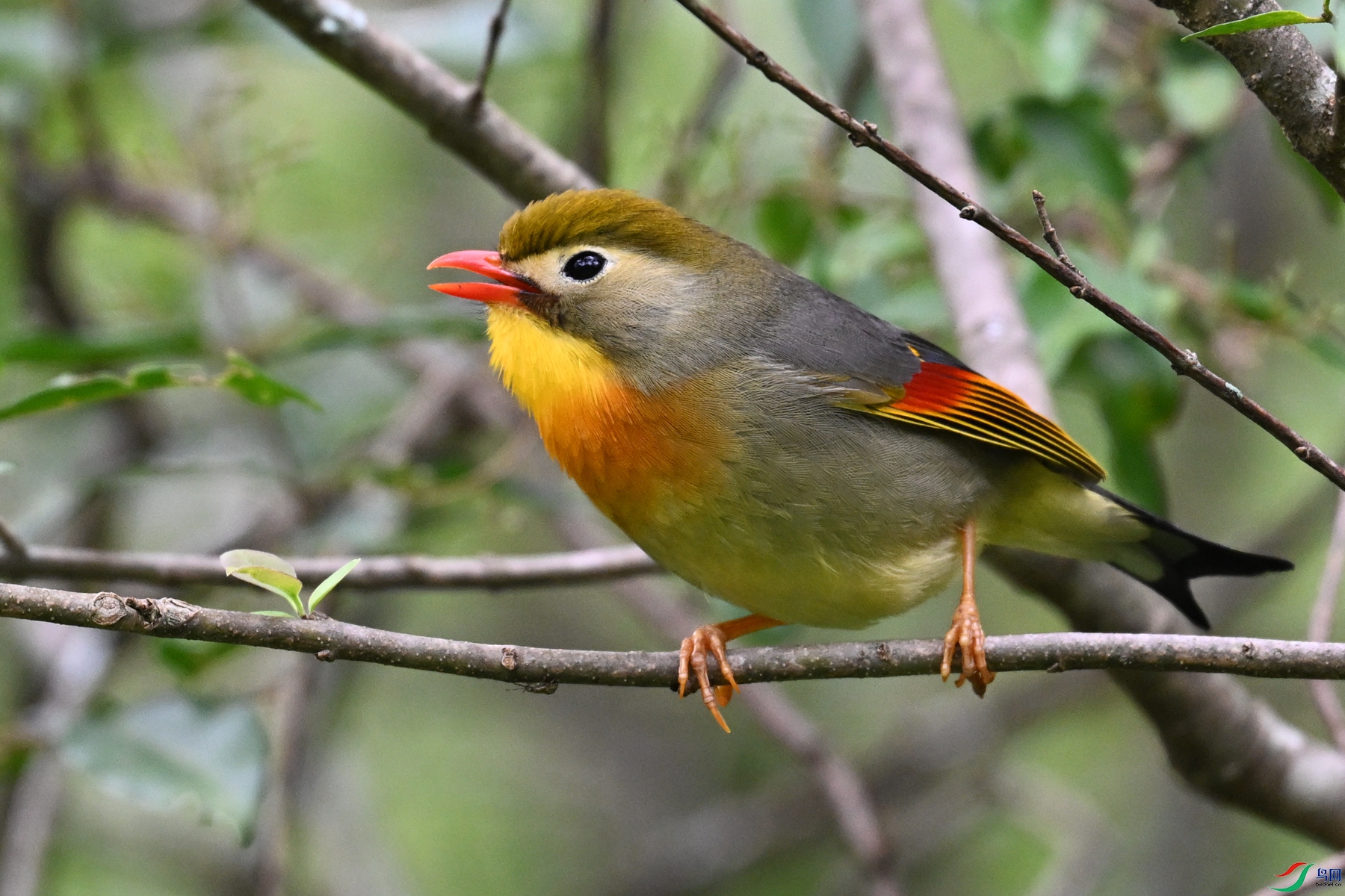 DSC_2837.JPG