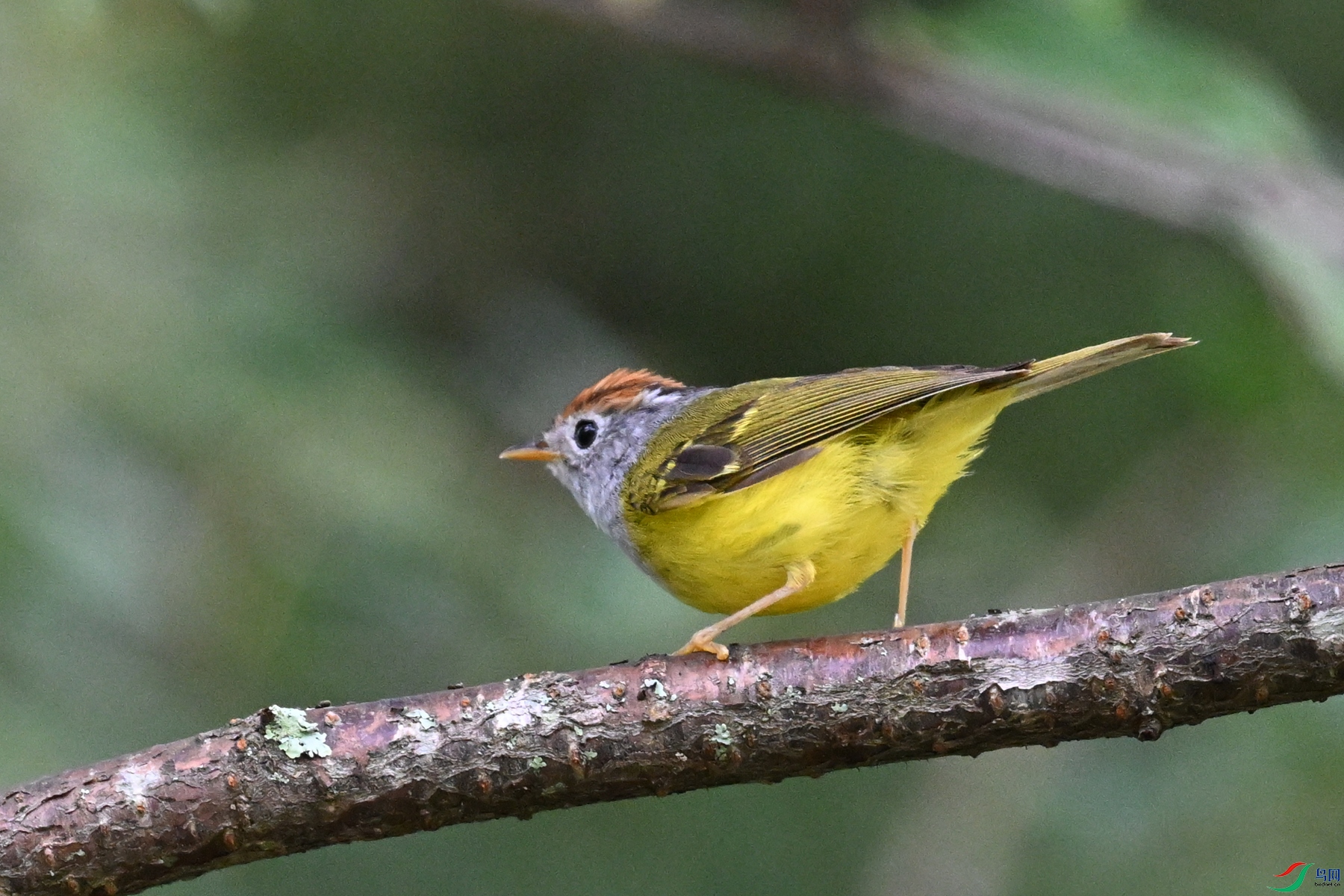 DSC_2783.JPG