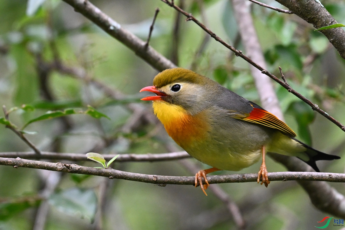 DSC_2840.JPG