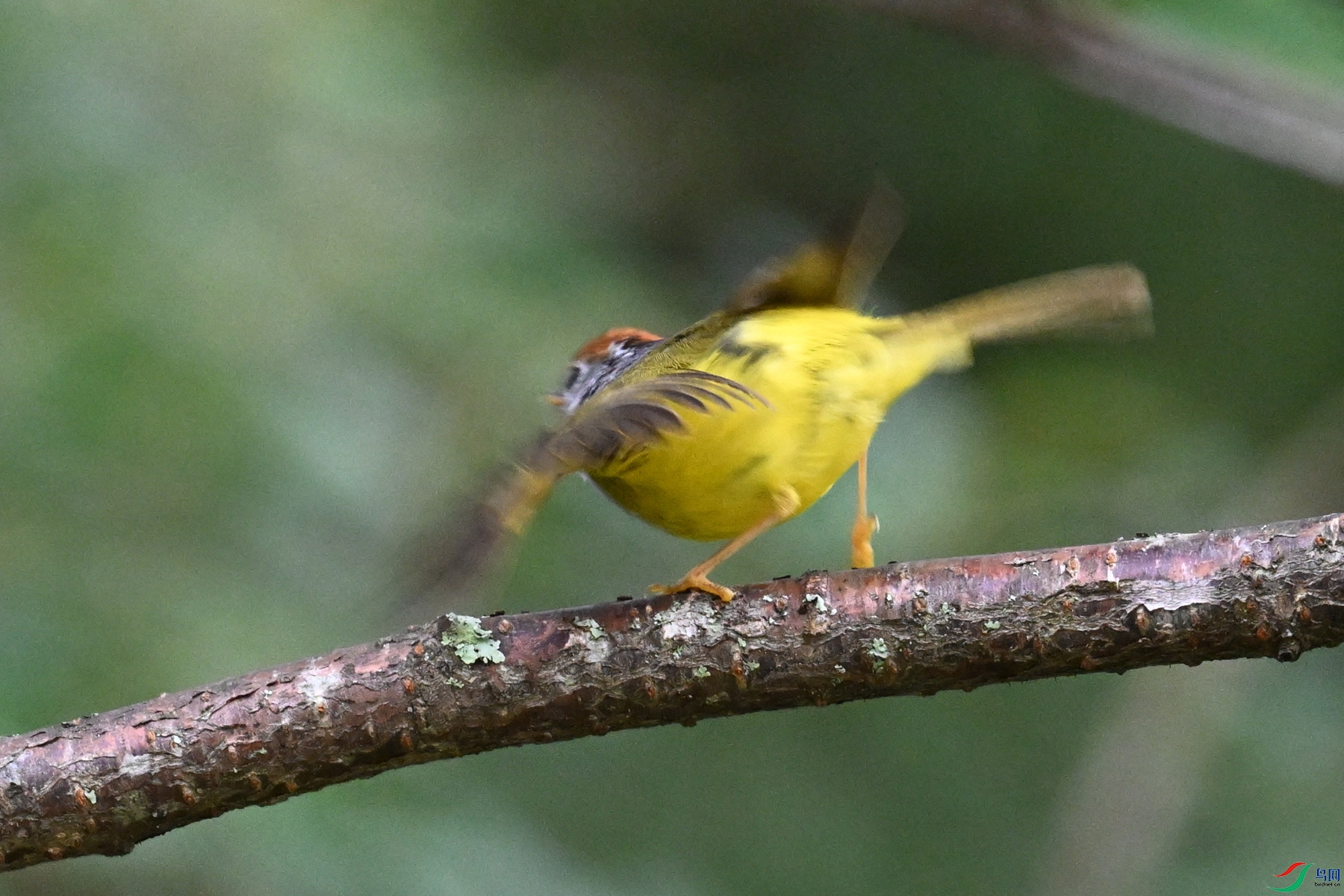 DSC_2814.JPG