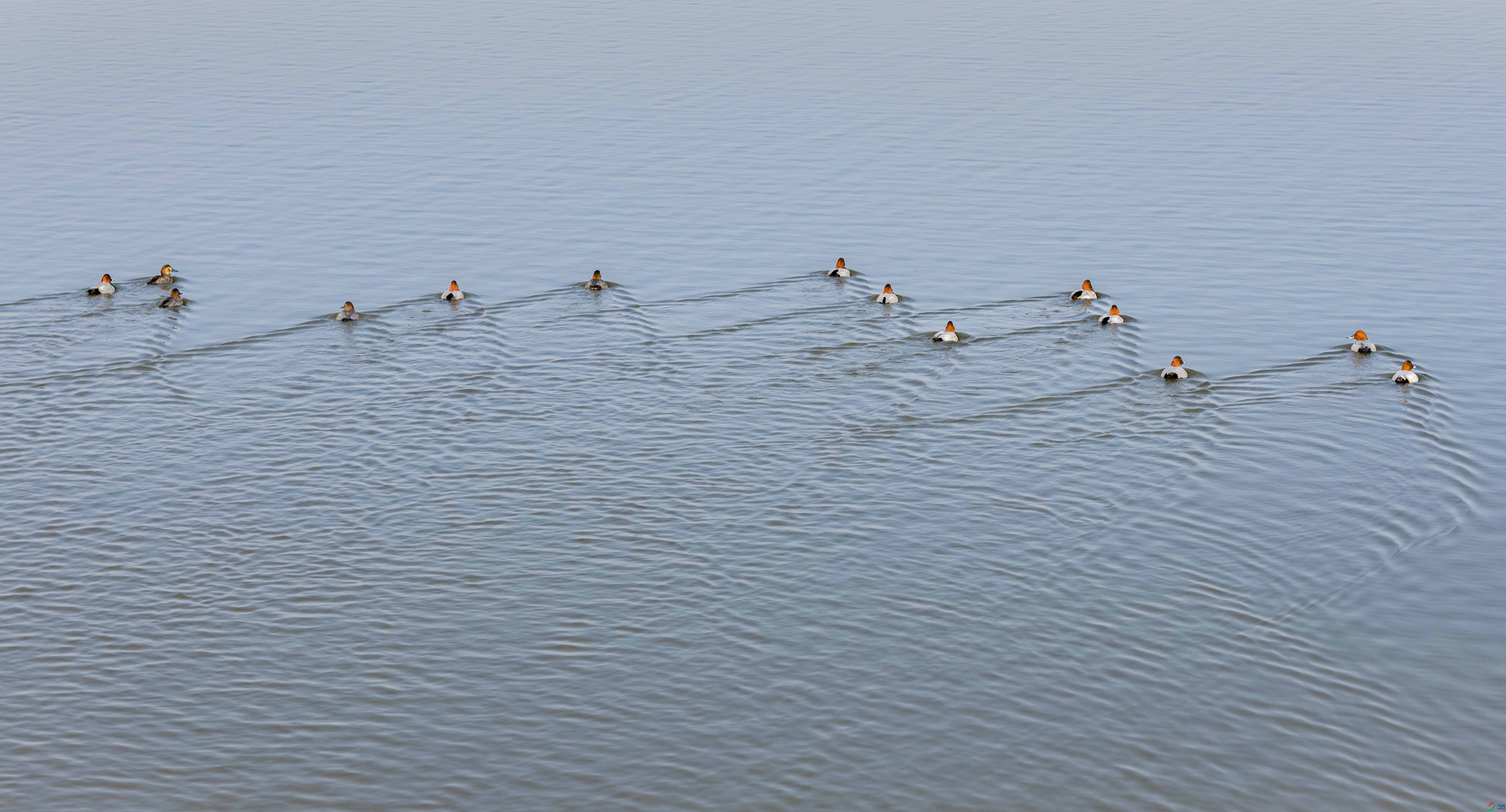 DJI_20251109142640_0222_D ����.jpg