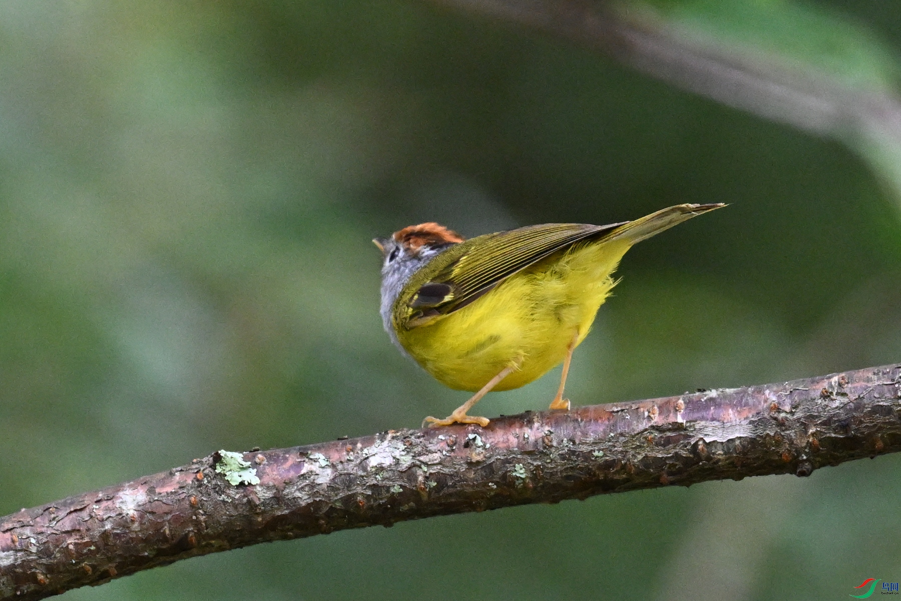 DSC_2817.JPG