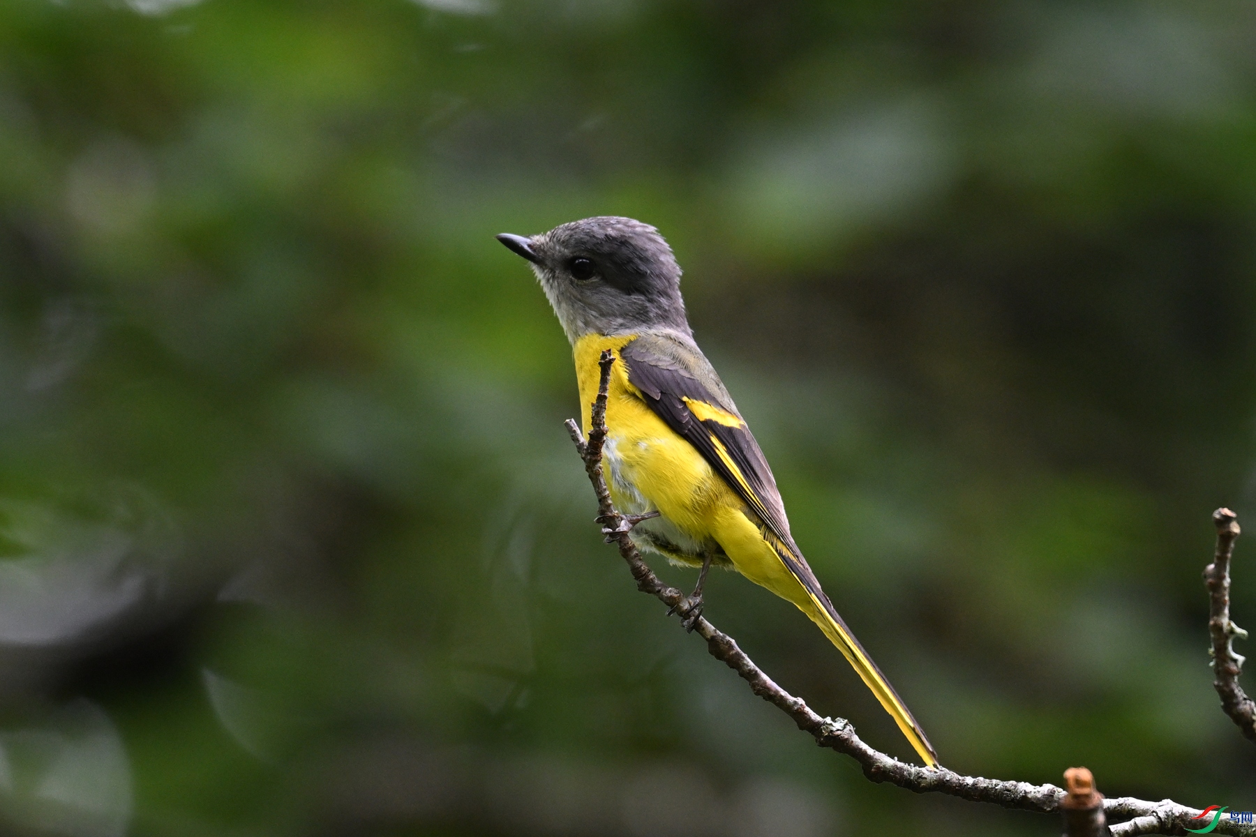 DSC_2851.JPG