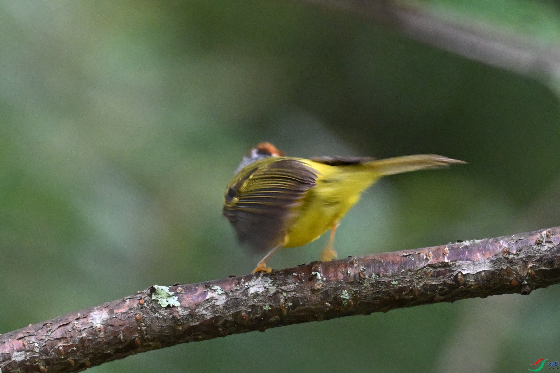 DSC_2799.JPG