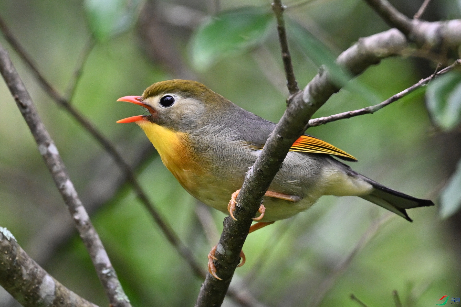 DSC_2834.JPG