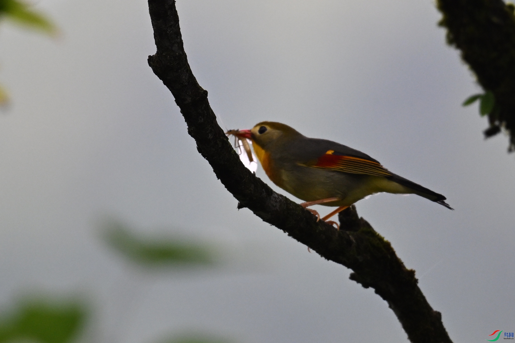DSC_2866.JPG