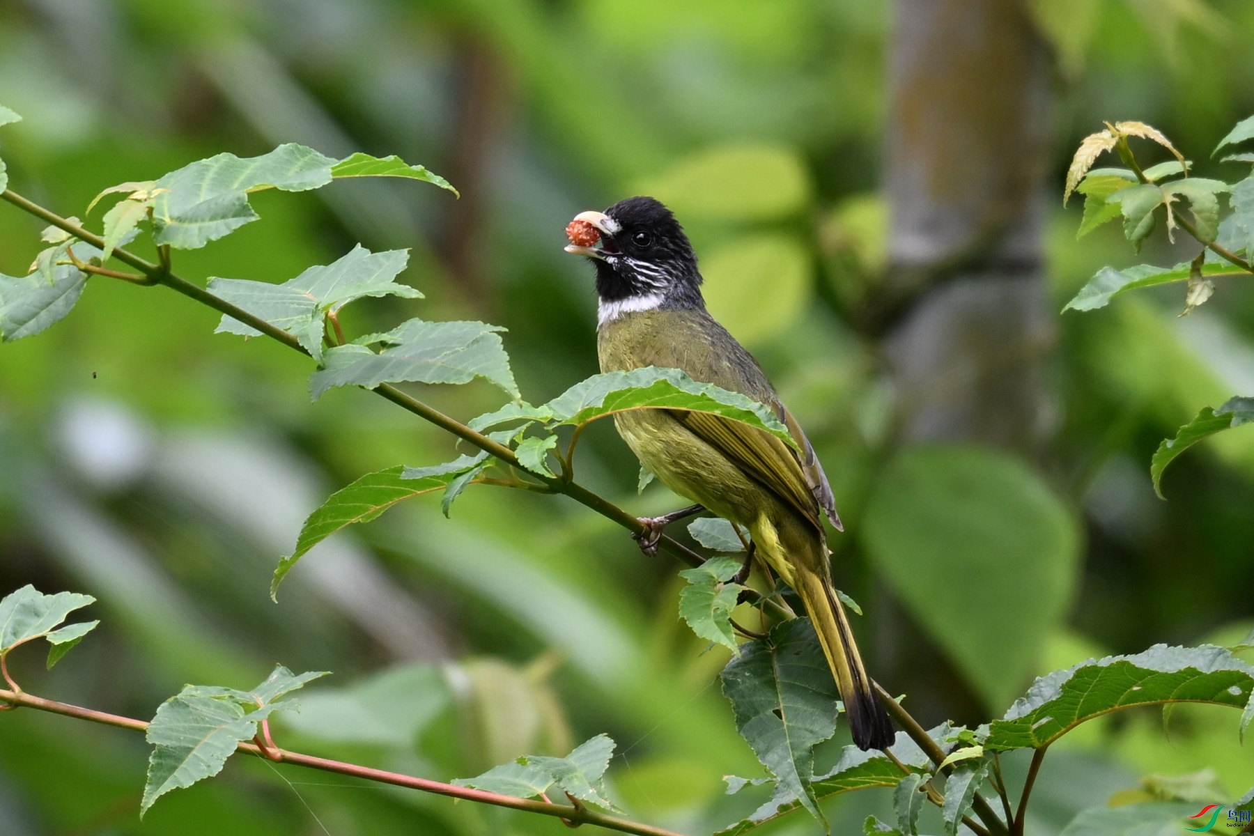 DSC_2898.JPG