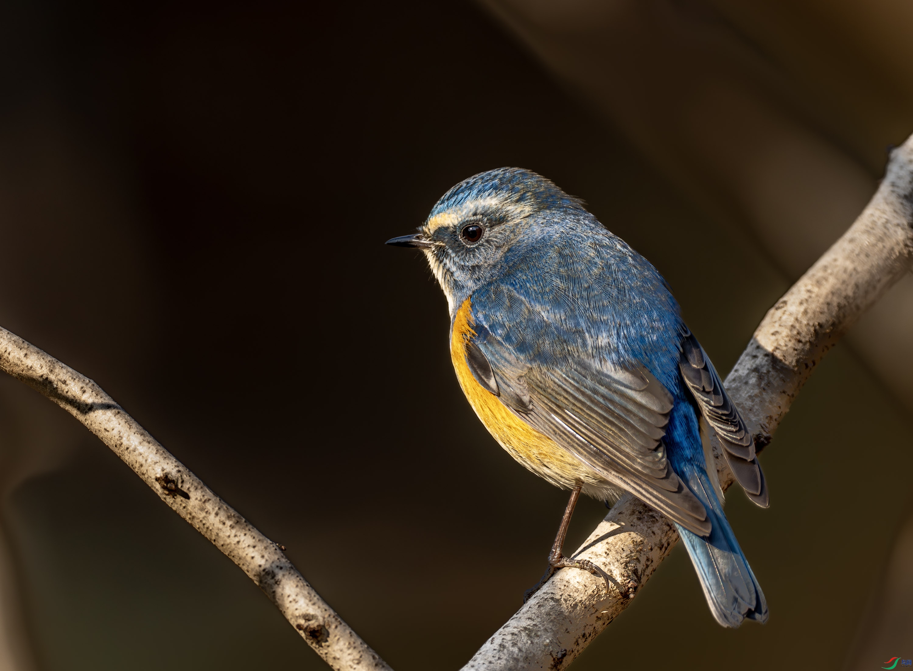 ��в��β�-01 (6 - 7).jpg