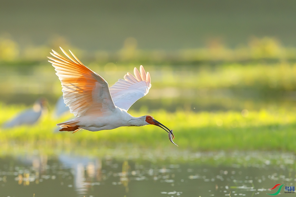 0F7A8320 ����.jpg