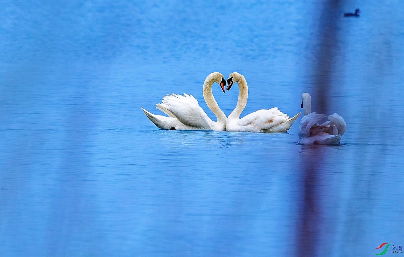 8547 ����.jpg