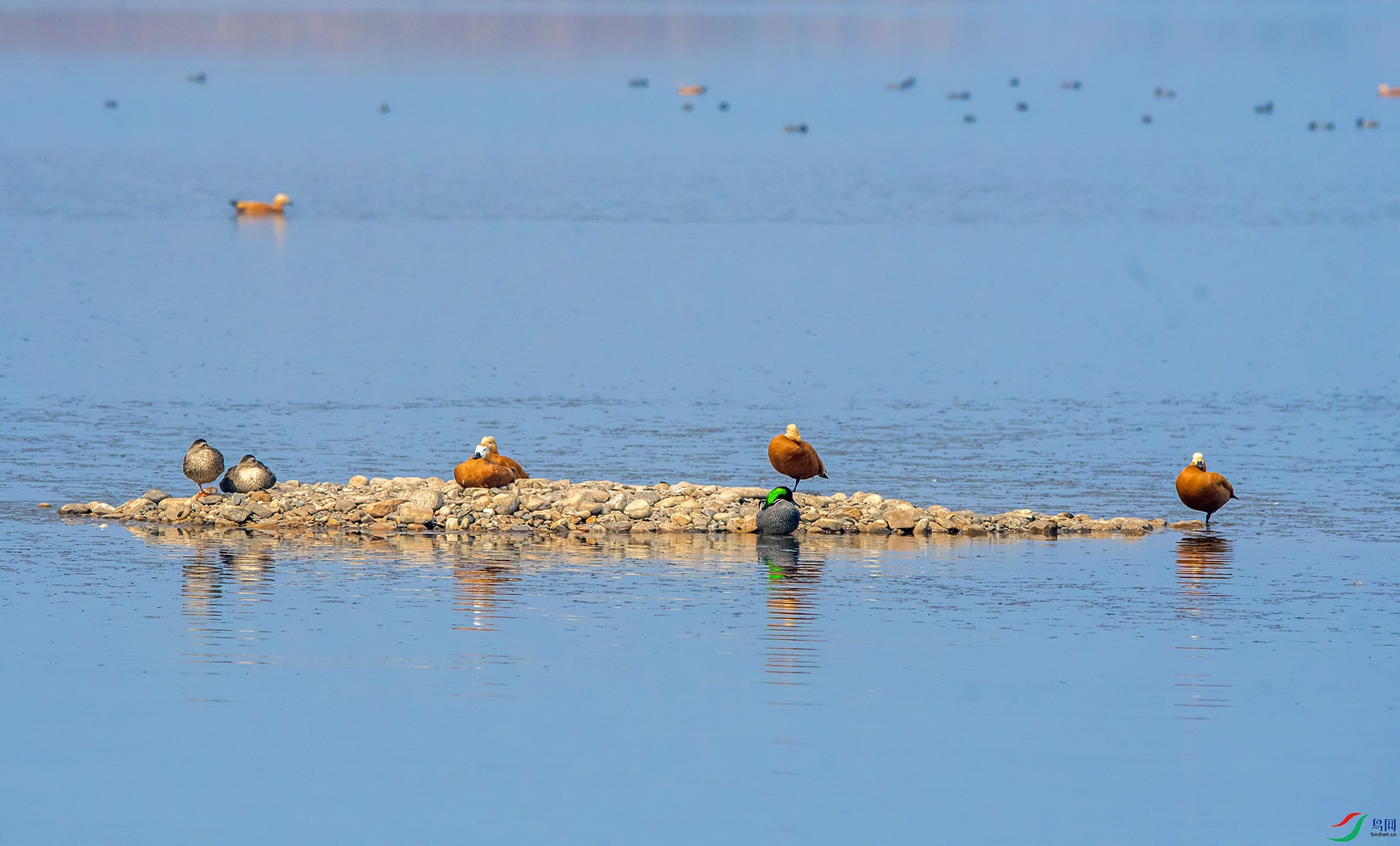 DSC_5454_��ͼ�� ����.jpg
