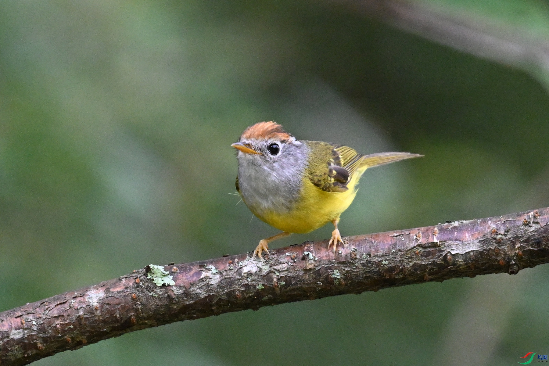 DSC_2806.JPG