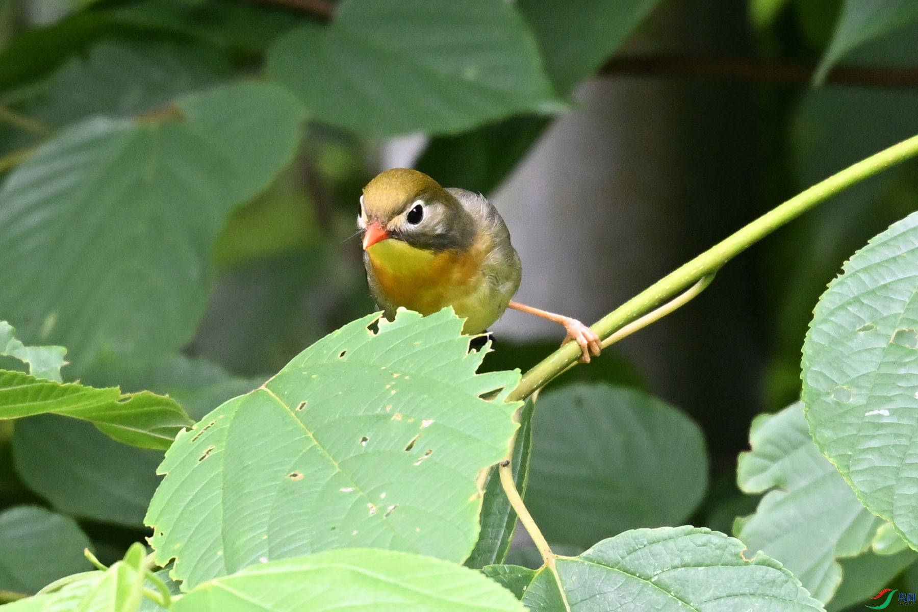 DSC_2900.JPG