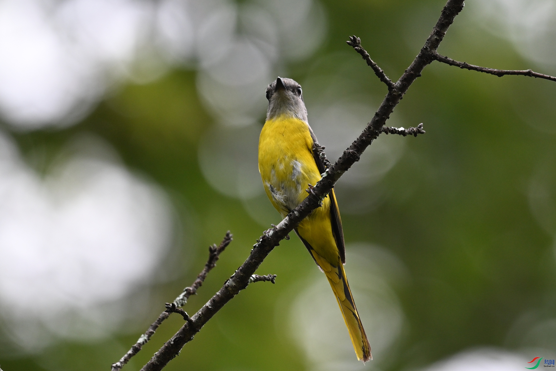 DSC_2846.JPG