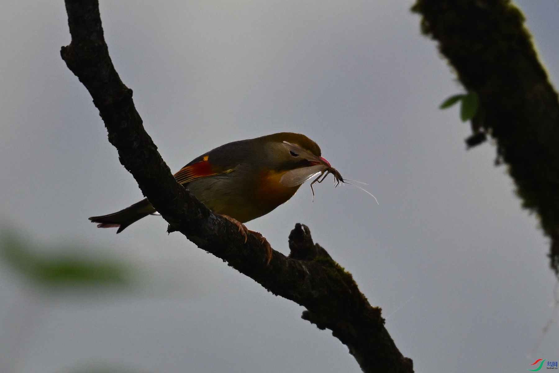 DSC_2872.JPG