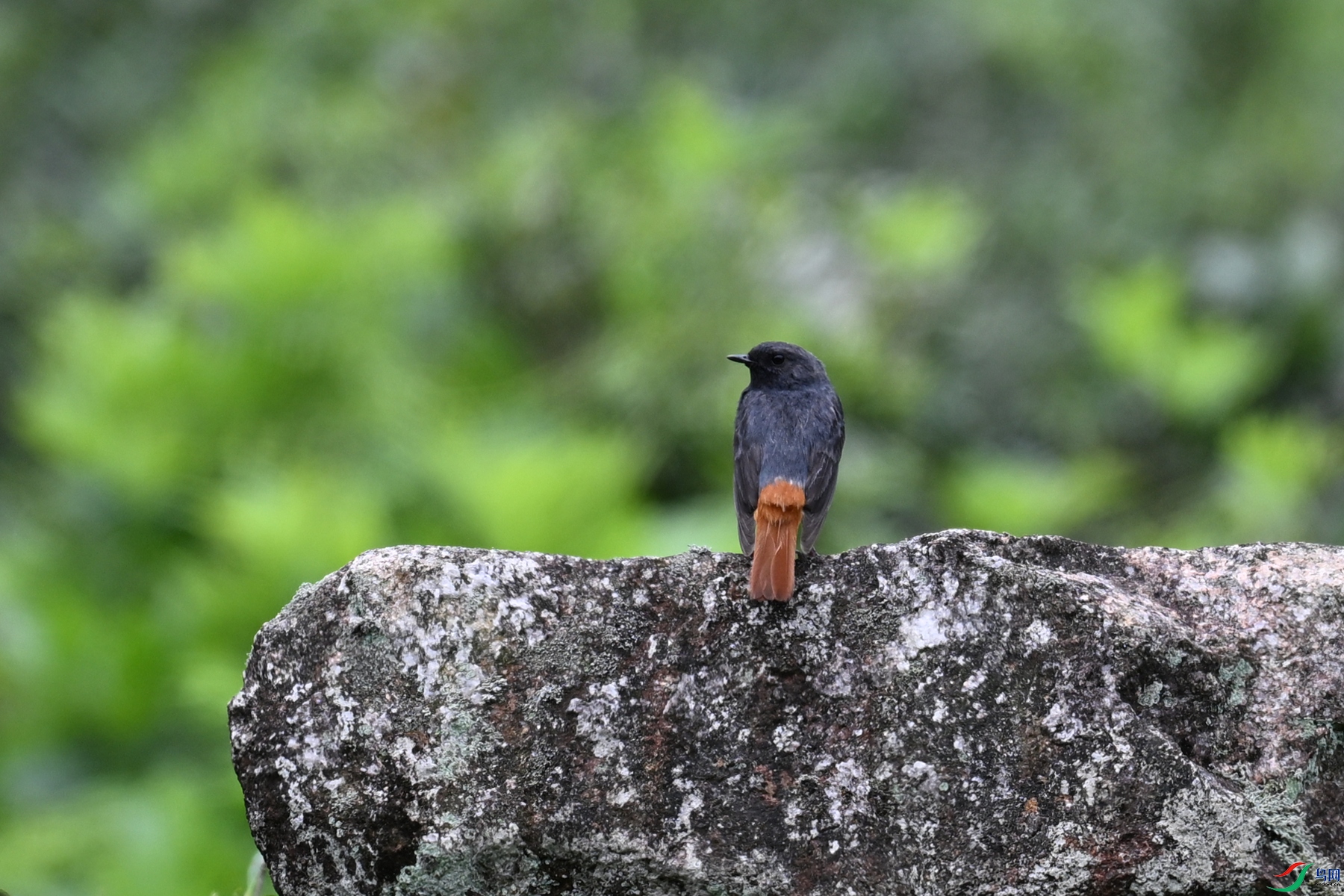 DSC_2904.JPG