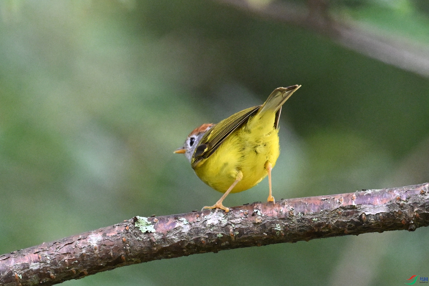 DSC_2811.JPG