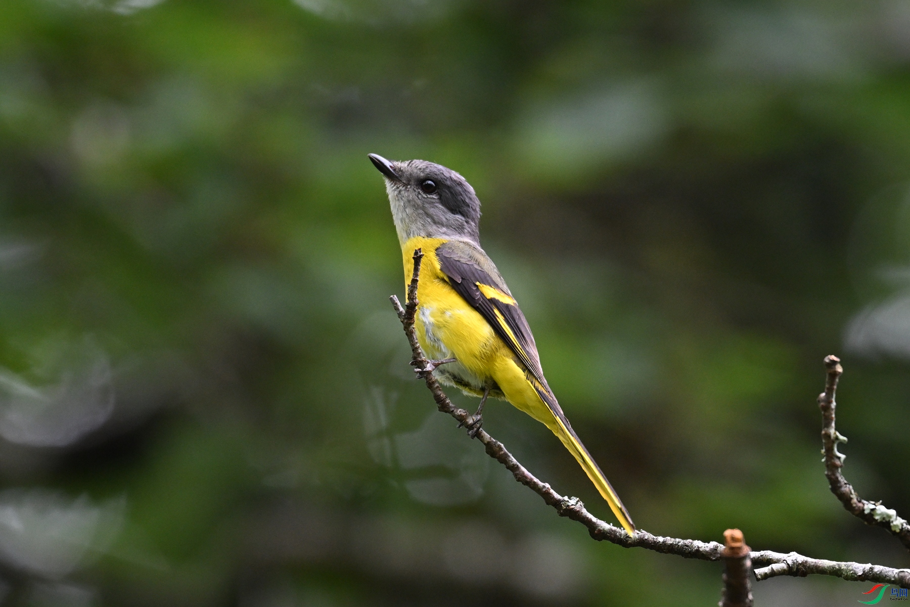 DSC_2853.JPG