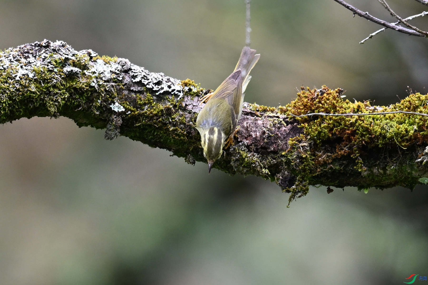 DSC_2973.JPG