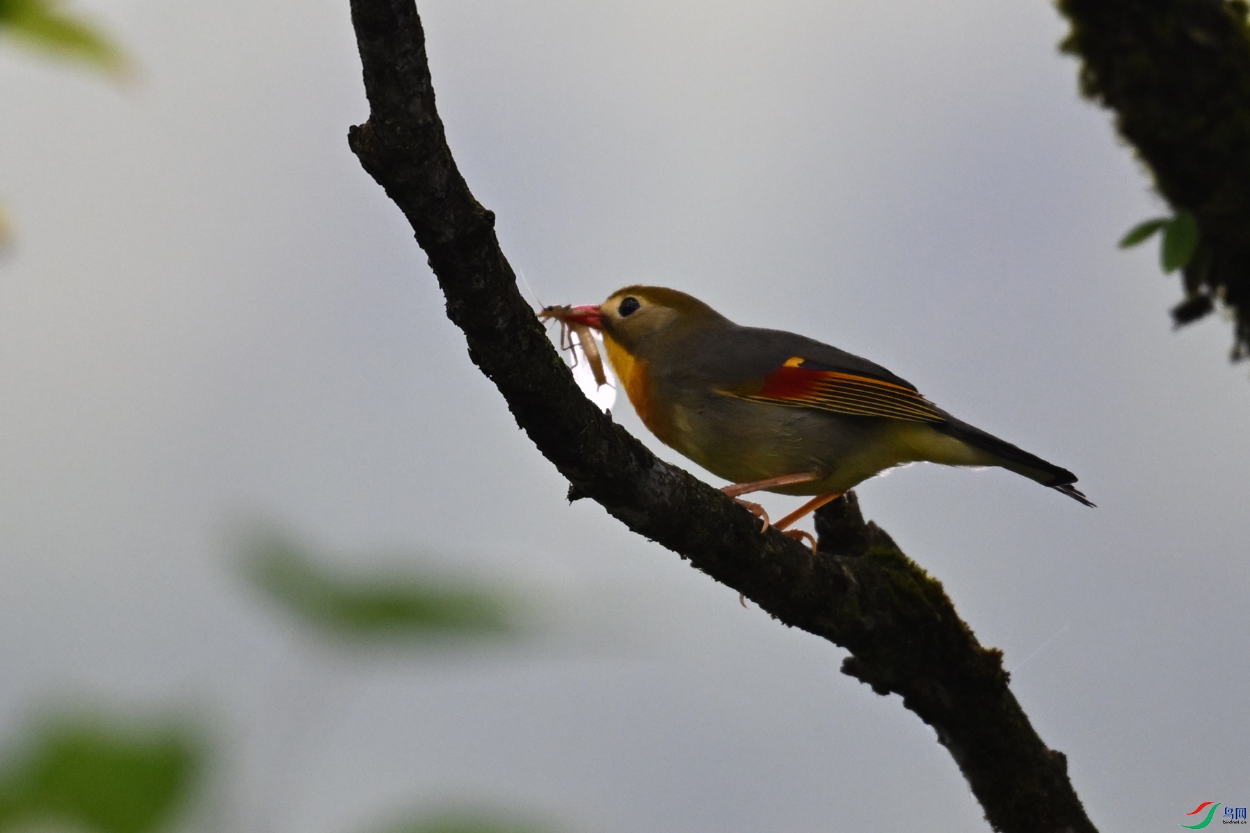 DSC_2865.JPG