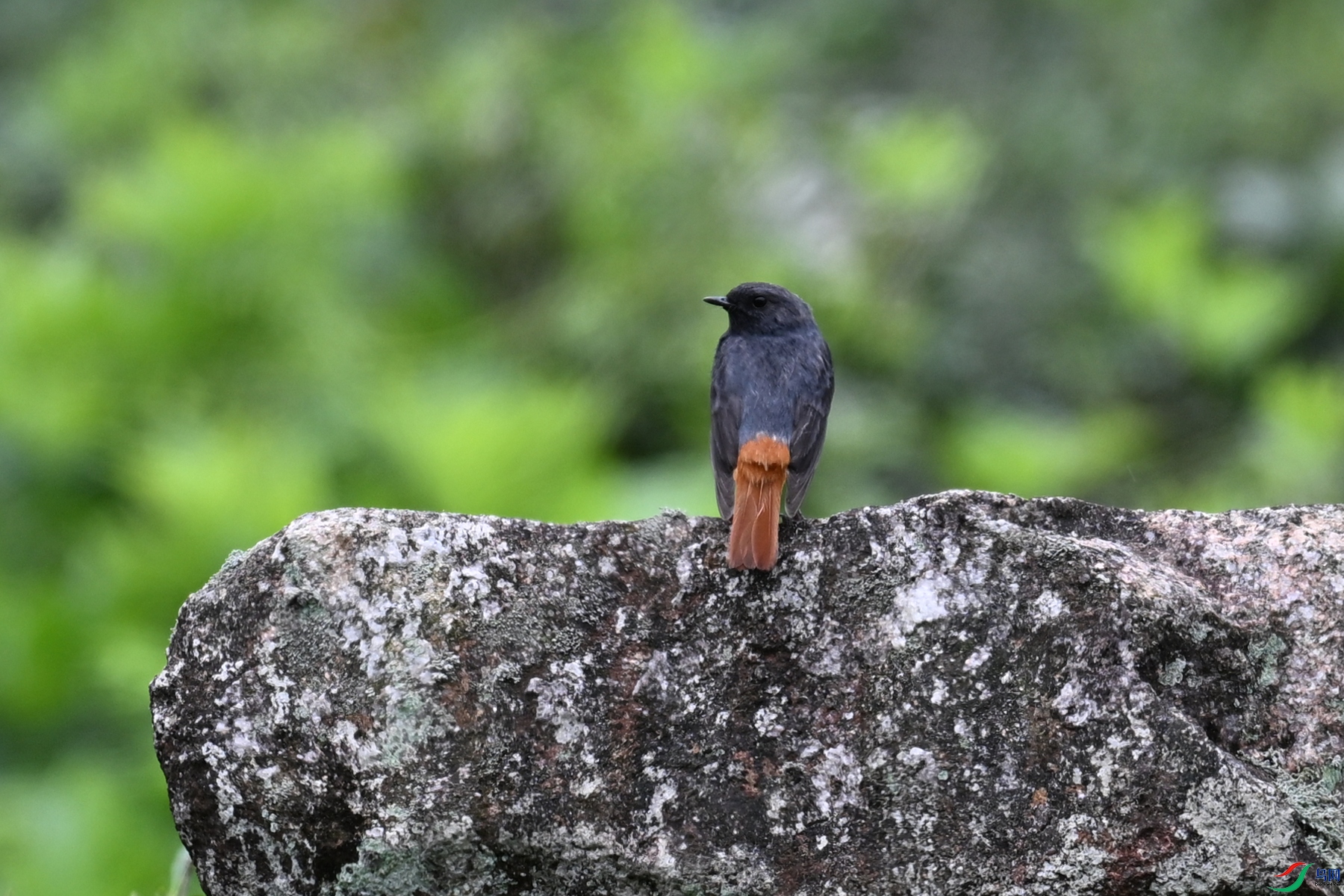 DSC_2903.JPG