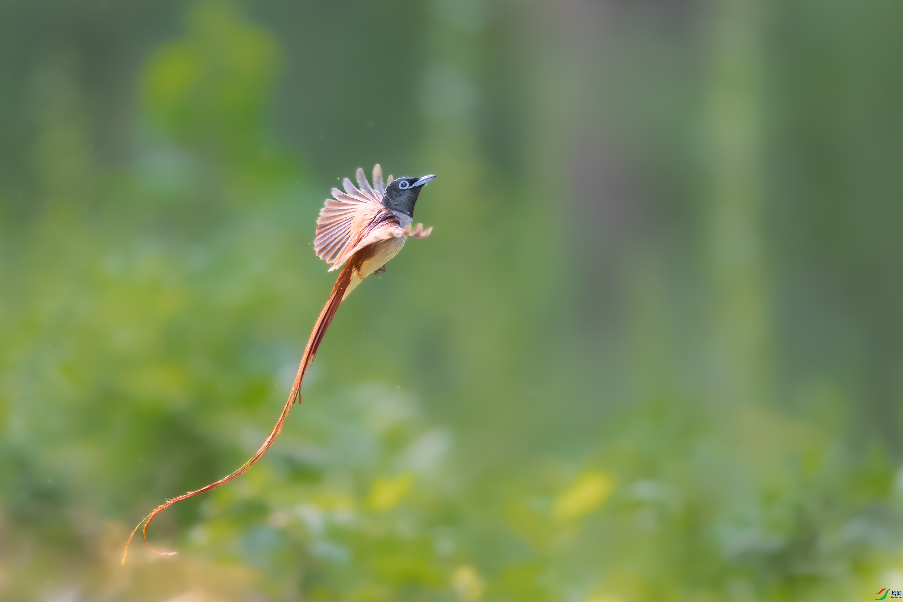 C7567.jpg
