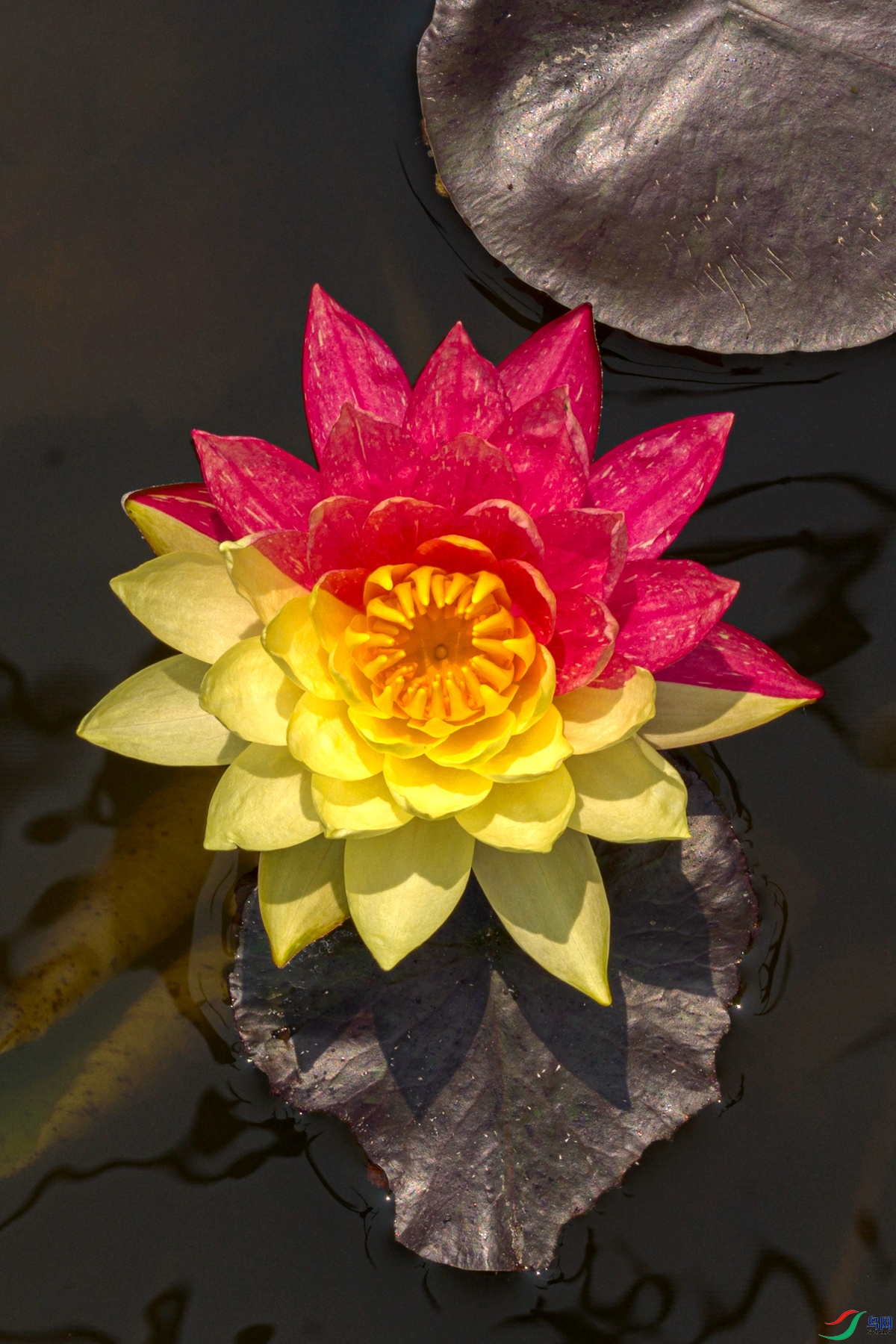 0783_����.jpg