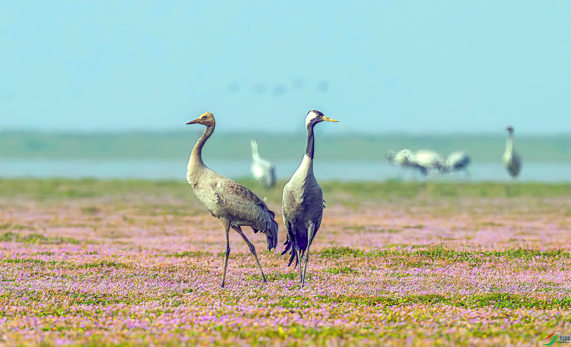 _S7I0079------33  .jpg