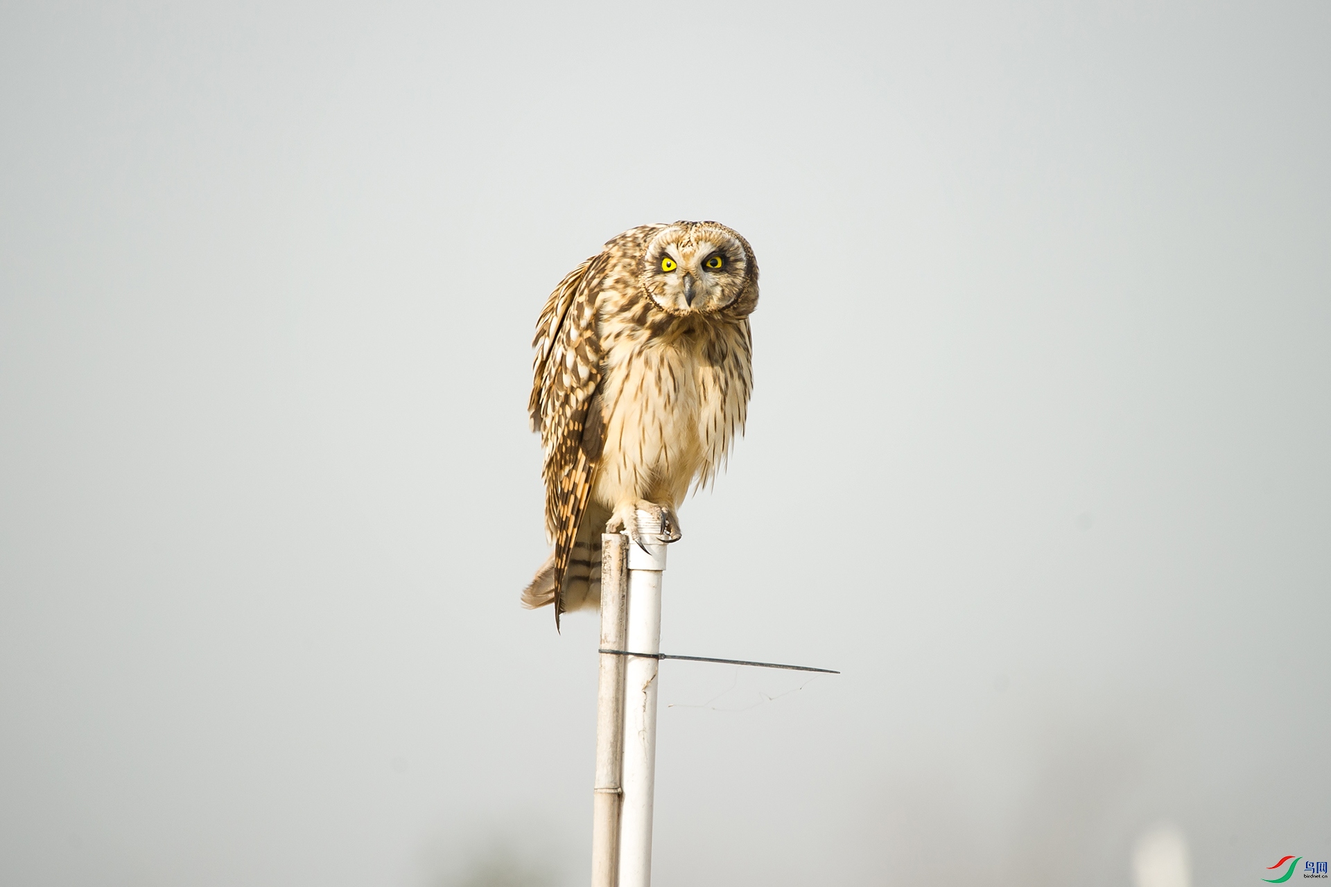 DSC_0492-20201207�ü�.jpg