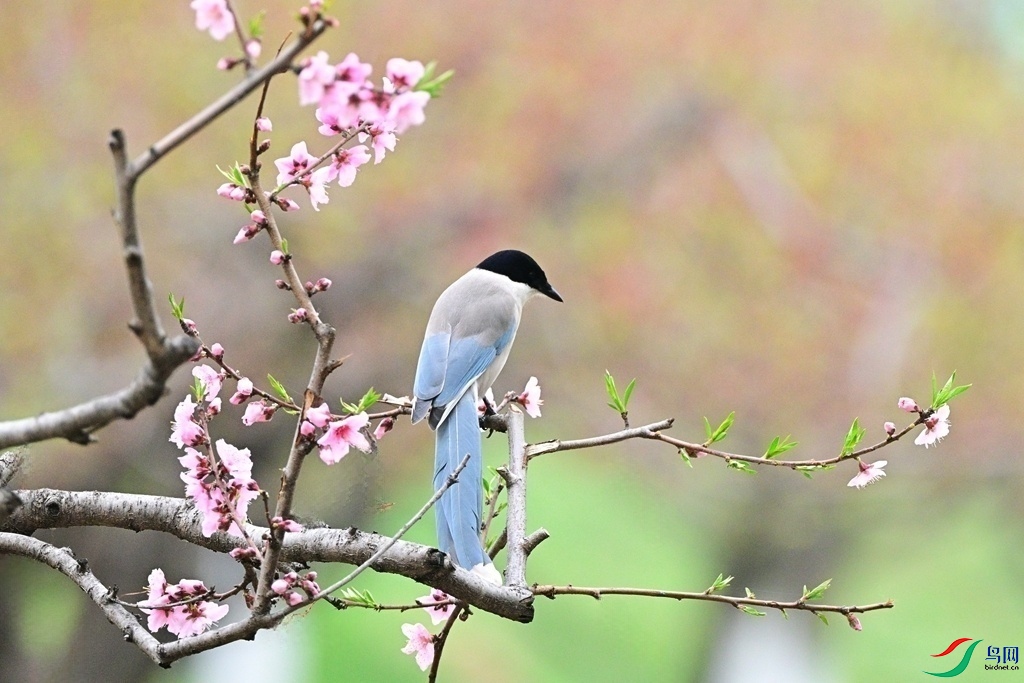 DSC_3210.JPG