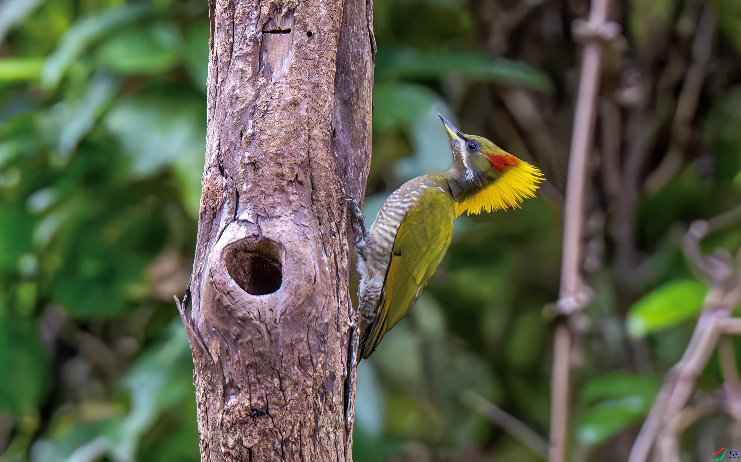 DSC_6895.jpg