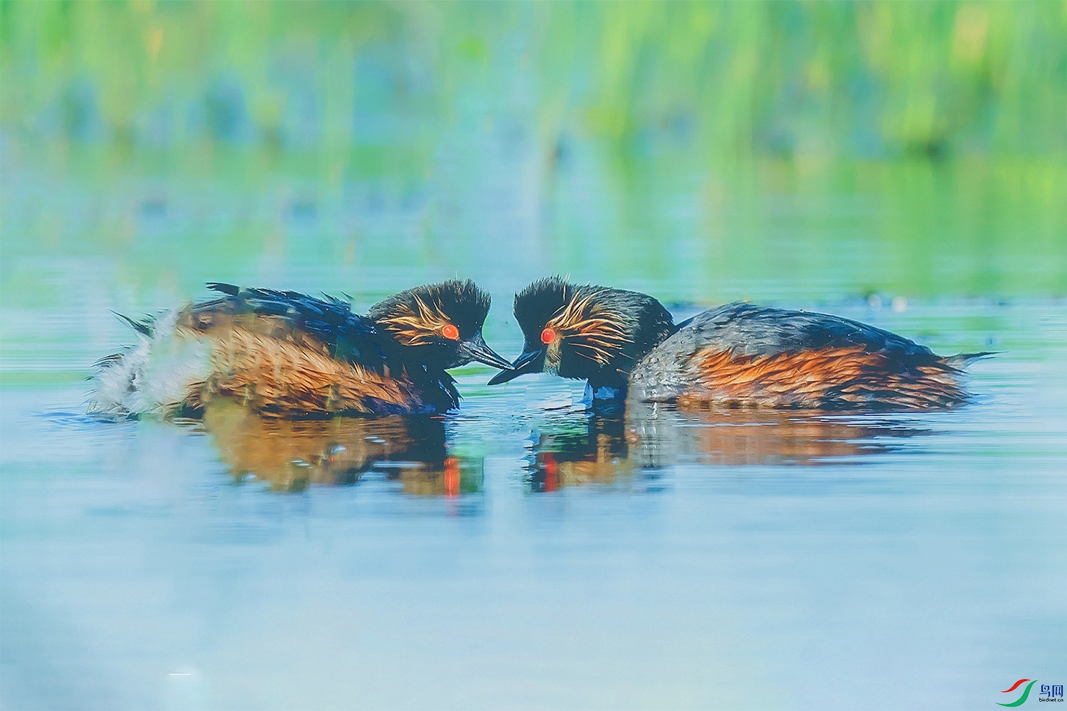 _DSC0702 ����.jpg