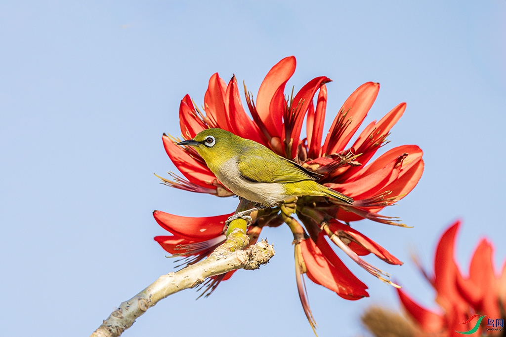 fjhaR5260317 (728).jpg