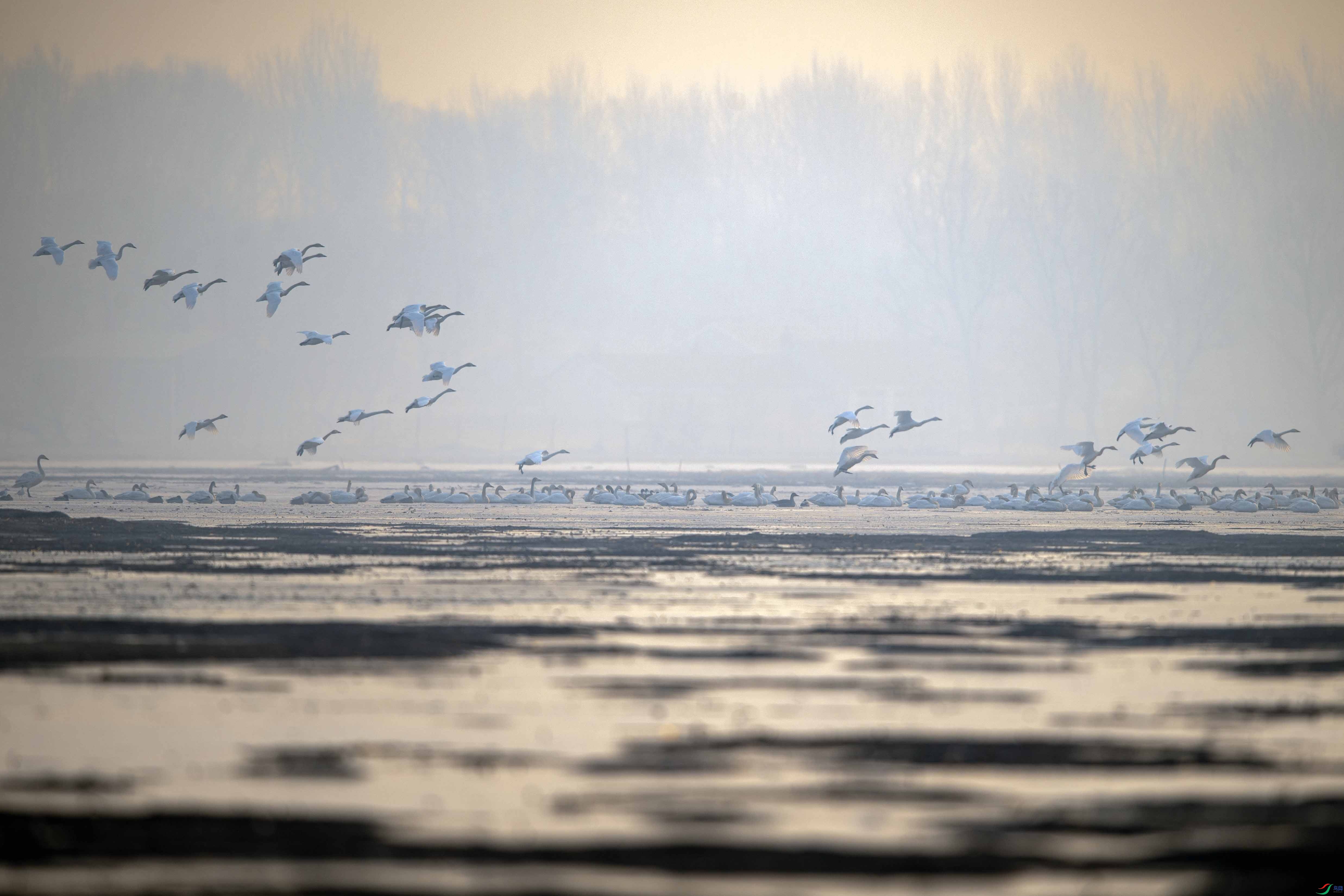 _LYF0199 ����.jpg