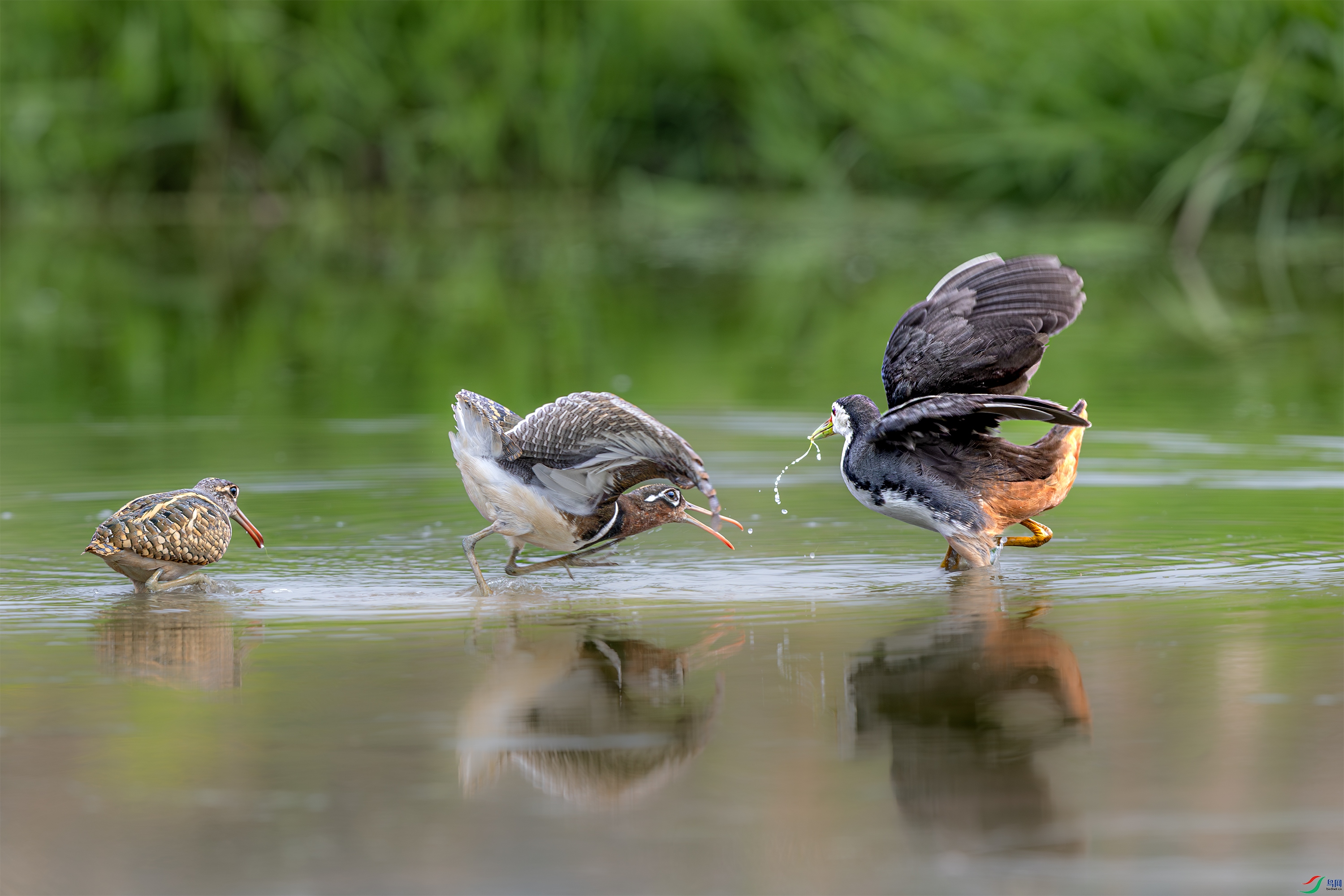 063A9944 ����.jpg