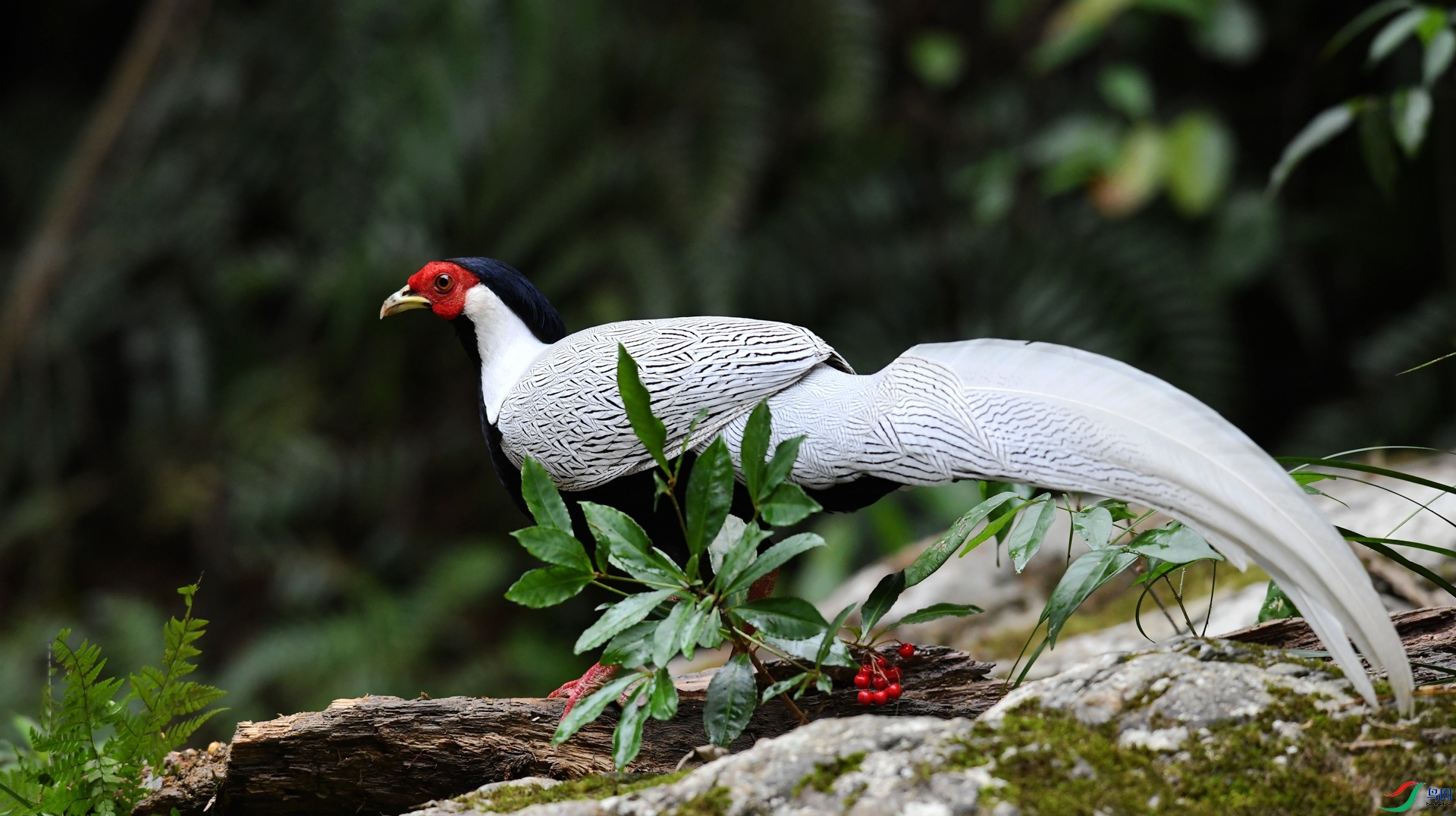 DSC_7301.jpg