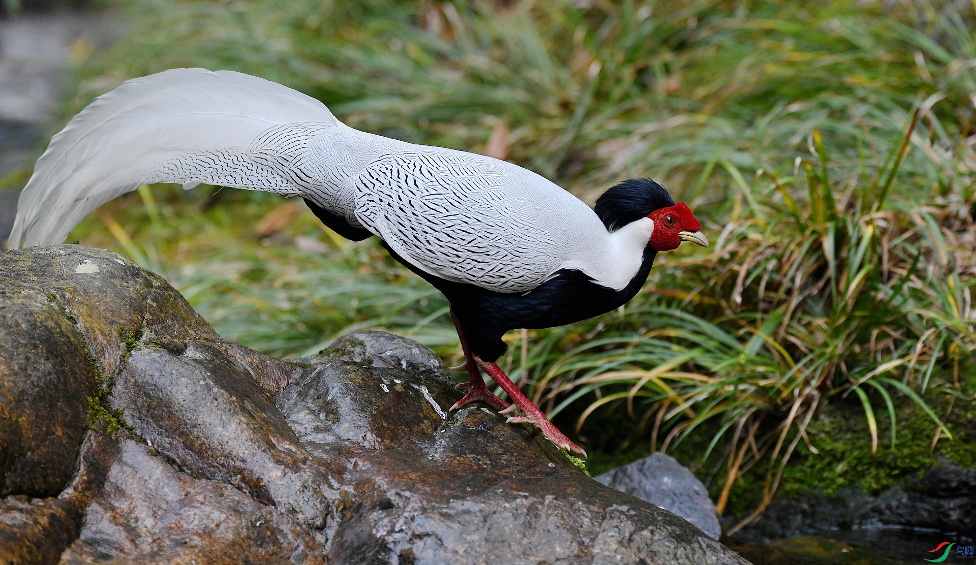 DSC_7307.jpg