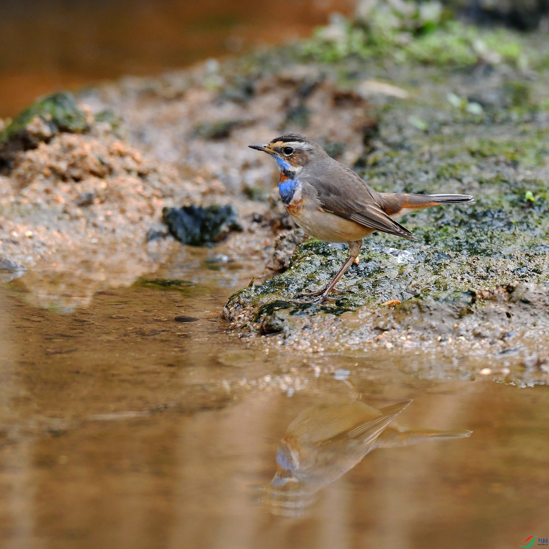 DSC_7543.jpg