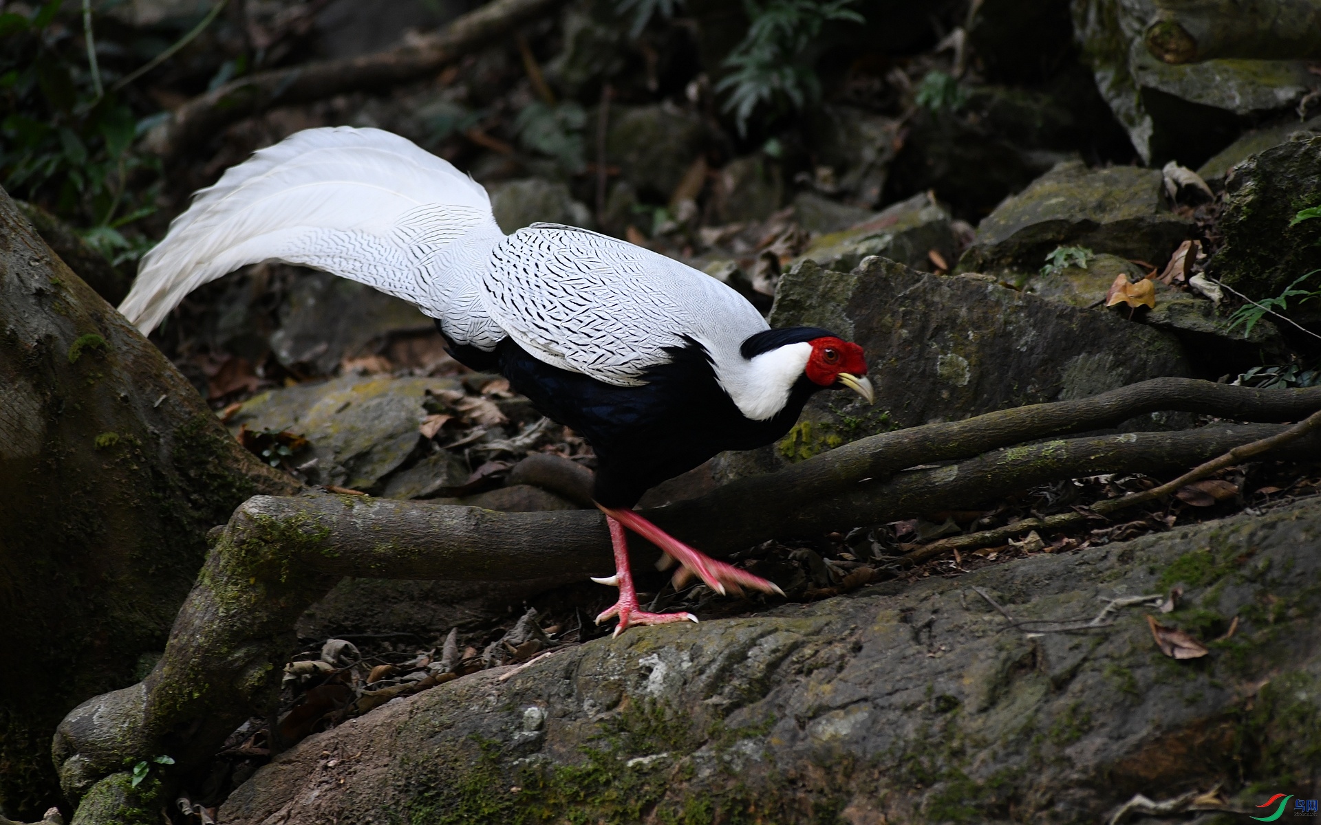 DSC_7424.jpg