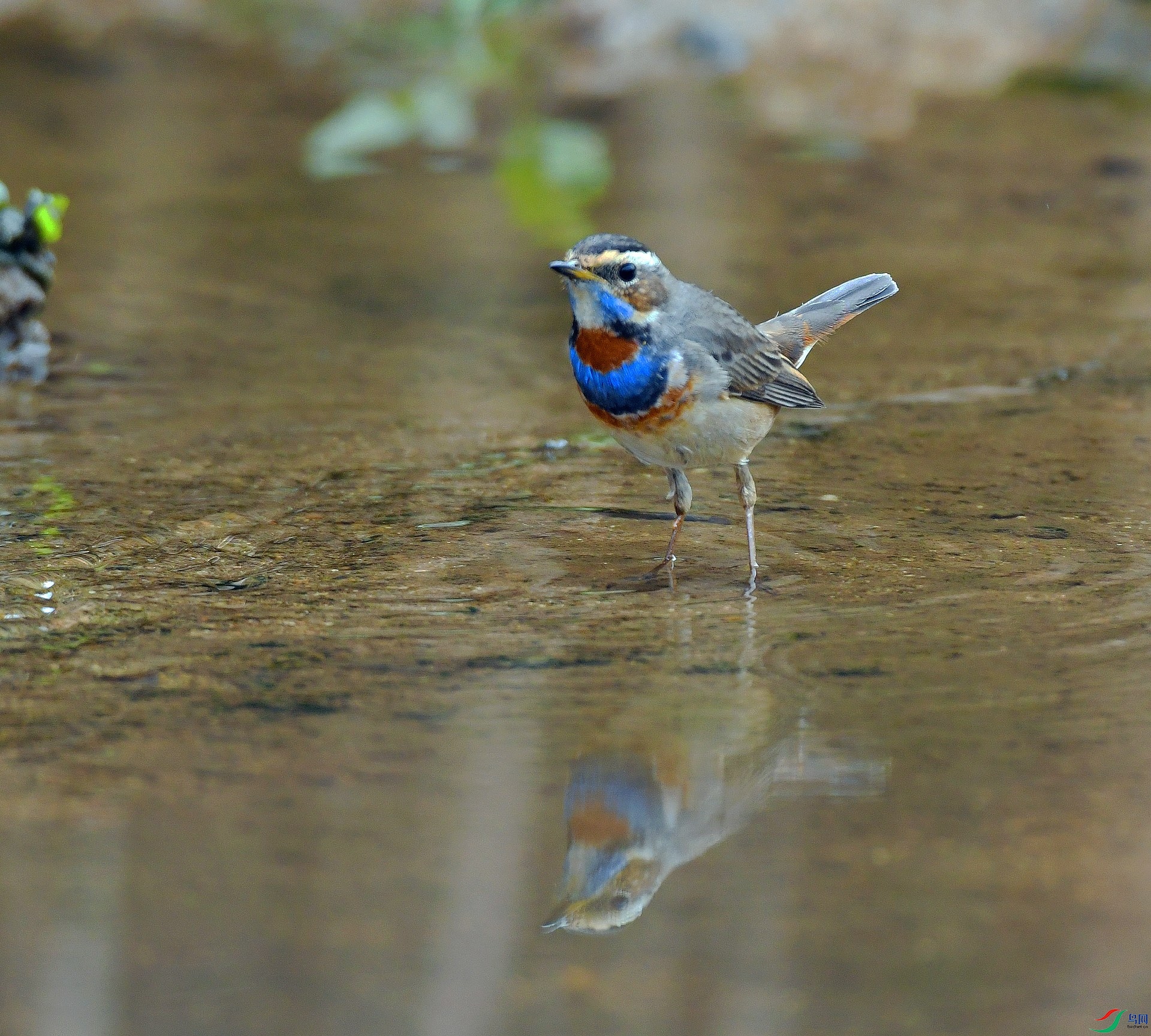 DSC_7549.jpg
